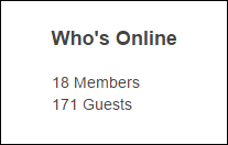 Example of front end display fake online Wordpress frontend widget
