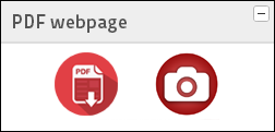 pdf button